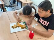 WhatsApp-Image-2025-11-11-at-145900-2